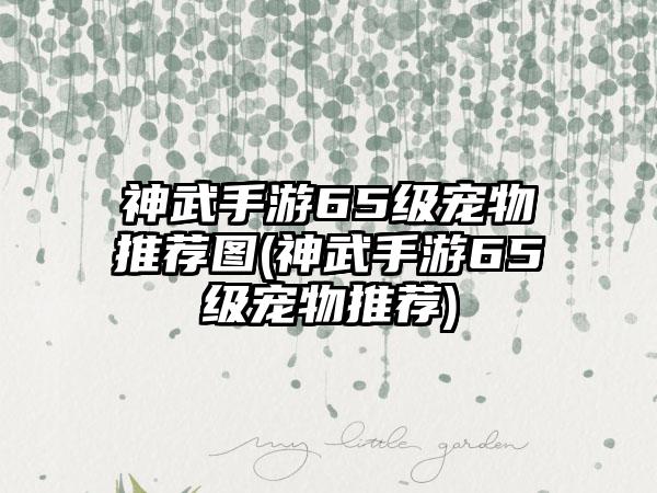 神武手游65级宠物推荐图(神武手游65级宠物推荐)
