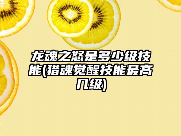 龙魂之怒是多少级技能(猎魂觉醒技能最高几级)