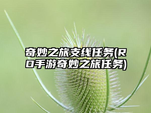 奇妙之旅支线任务(RO手游奇妙之旅任务)