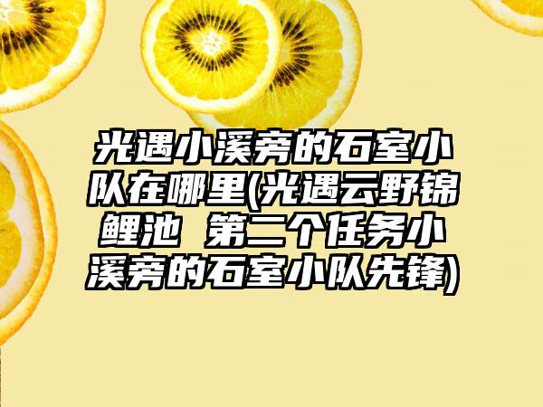 光遇小溪旁的石室小队在哪里(光遇云野锦鲤池 第二个任务小溪旁的石室小队先锋)