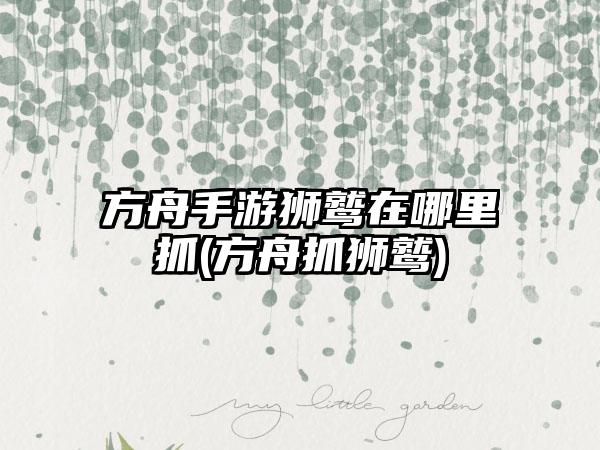 方舟手游狮鹫在哪里抓(方舟抓狮鹫)