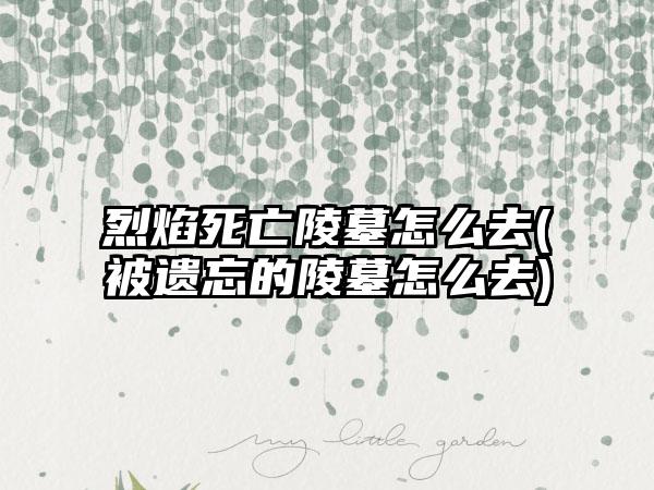 烈焰死亡陵墓怎么去(被遗忘的陵墓怎么去)