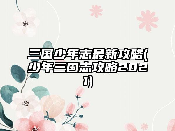 三国少年志最新攻略(少年三国志攻略2021)