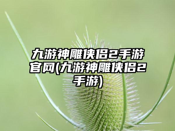 九游神雕侠侣2手游官网(九游神雕侠侣2手游)