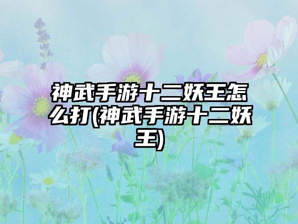 神武手游十二妖王怎么打(神武手游十二妖王)