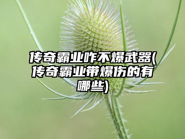 传奇霸业咋不爆武器(传奇霸业带爆伤的有哪些)