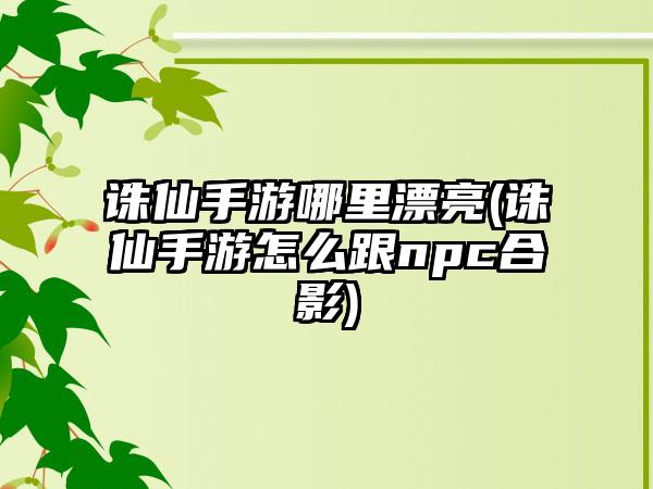诛仙手游哪里漂亮(诛仙手游怎么跟npc合影)