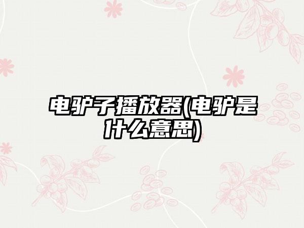 电驴子播放器(电驴是什么意思)
