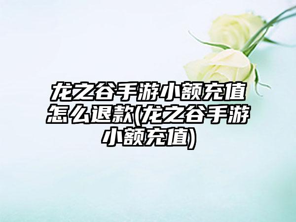 龙之谷手游小额充值怎么退款(龙之谷手游小额充值)