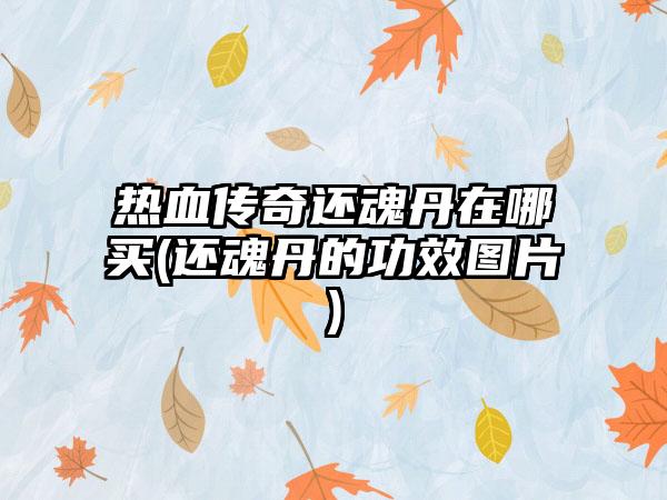 热血传奇还魂丹在哪买(还魂丹的功效图片)
