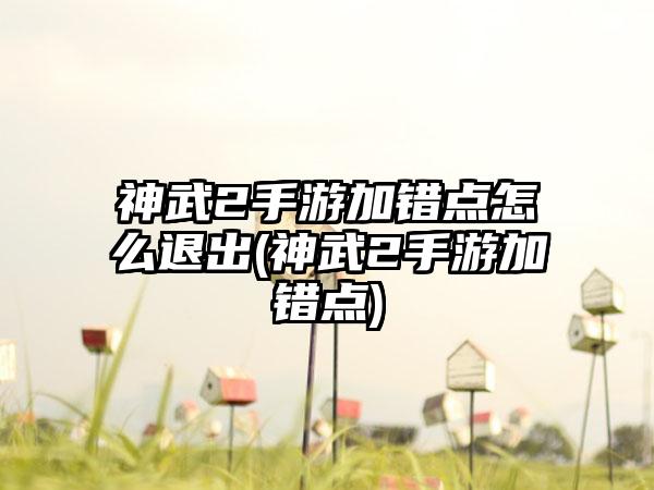 神武2手游加错点怎么退出(神武2手游加错点)
