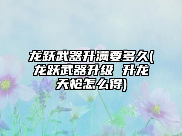 龙跃武器升满要多久(龙跃武器升级 升龙天枪怎么得)