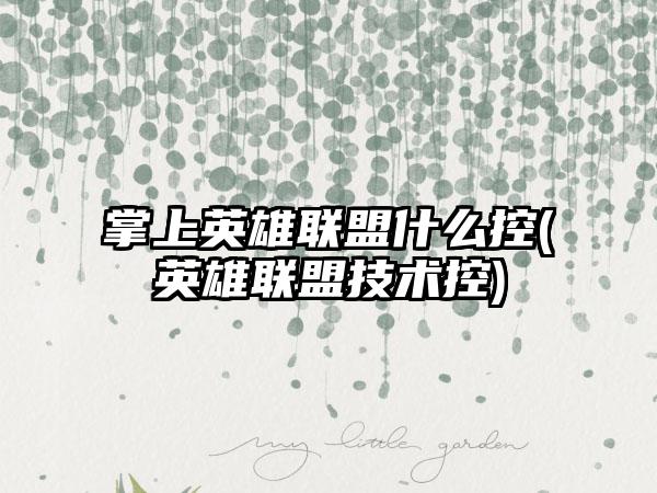 掌上英雄联盟什么控(英雄联盟技术控)