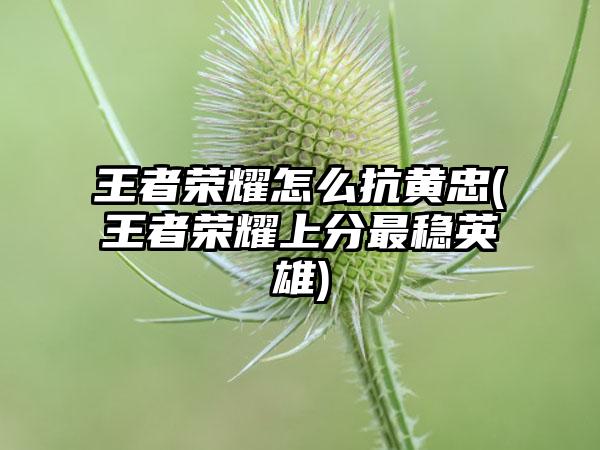 王者荣耀怎么抗黄忠(王者荣耀上分最稳英雄)
