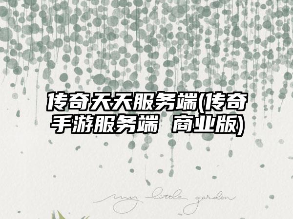 传奇天天服务端(传奇手游服务端 商业版)