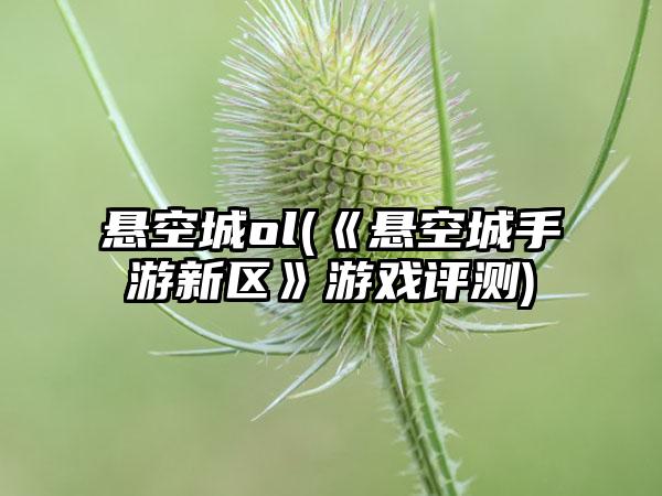 悬空城ol(《悬空城手游新区》游戏评测)