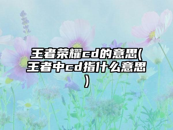 王者荣耀cd的意思(王者中cd指什么意思)