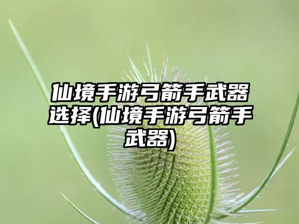 仙境手游弓箭手武器选择(仙境手游弓箭手武器)