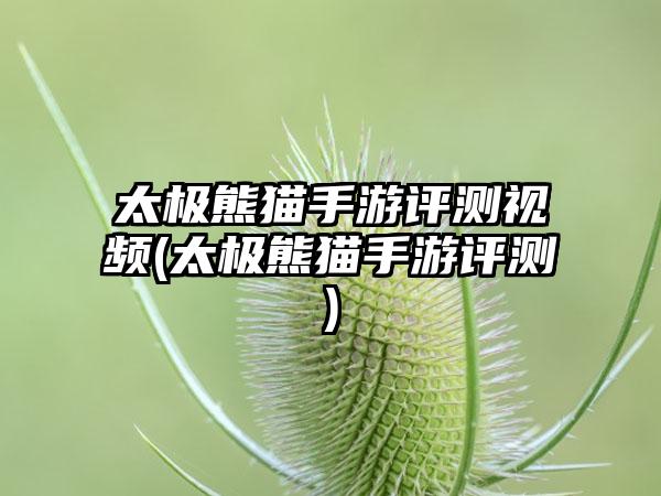 太极熊猫手游评测视频(太极熊猫手游评测)