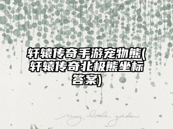 轩辕传奇手游宠物熊(轩辕传奇北极熊坐标答案)