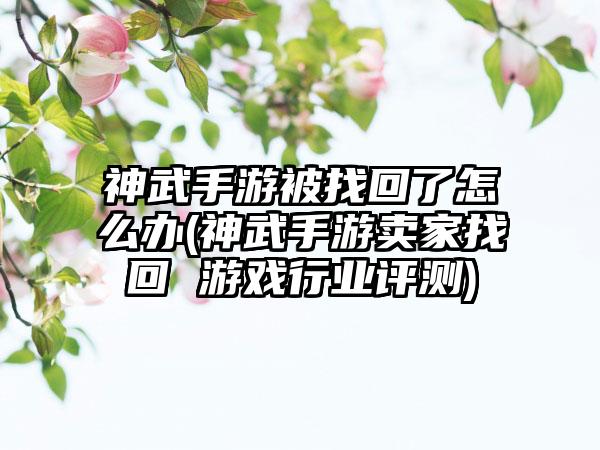 神武手游被找回了怎么办(神武手游卖家找回 游戏行业评测)