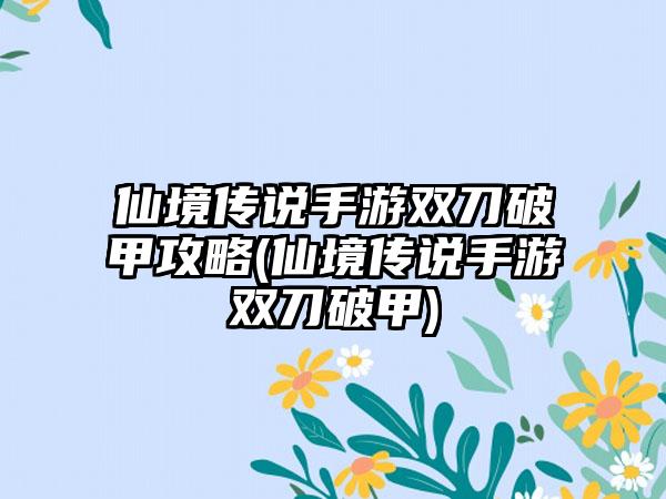 仙境传说手游双刀破甲攻略(仙境传说手游双刀破甲)