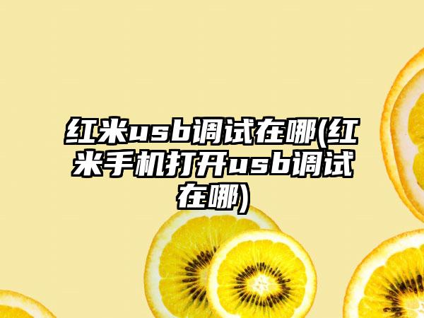 红米usb调试在哪(红米手机打开usb调试在哪)