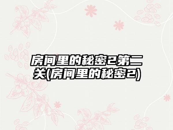房间里的秘密2第二关(房间里的秘密2)