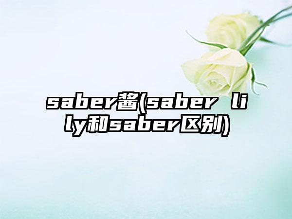 saber酱(saber lily和saber区别)