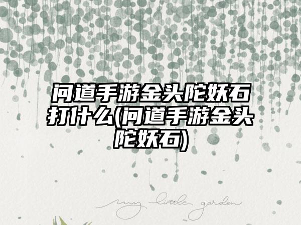 问道手游金头陀妖石打什么(问道手游金头陀妖石)