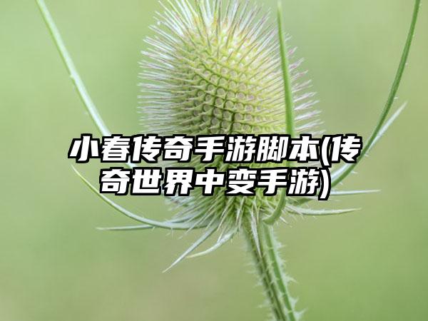 小春传奇手游脚本(传奇世界中变手游)