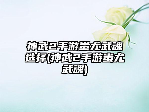 神武2手游蚩尤武魂选择(神武2手游蚩尤武魂)