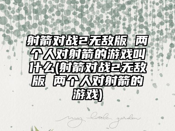 射箭对战2无敌版 两个人对射箭的游戏叫什么(射箭对战2无敌版 两个人对射箭的游戏)