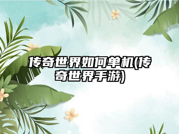 传奇世界如何单机(传奇世界手游)