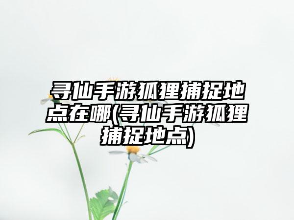 寻仙手游狐狸捕捉地点在哪(寻仙手游狐狸捕捉地点)