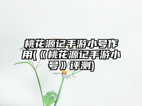 桃花源记手游小号作用(《桃花源记手游小号》评测)