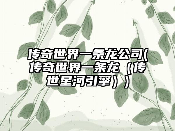 传奇世界一条龙公司(传奇世界一条龙（传世星河引擎）)