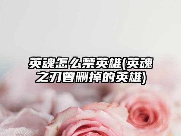 英魂怎么禁英雄(英魂之刃曾删掉的英雄)