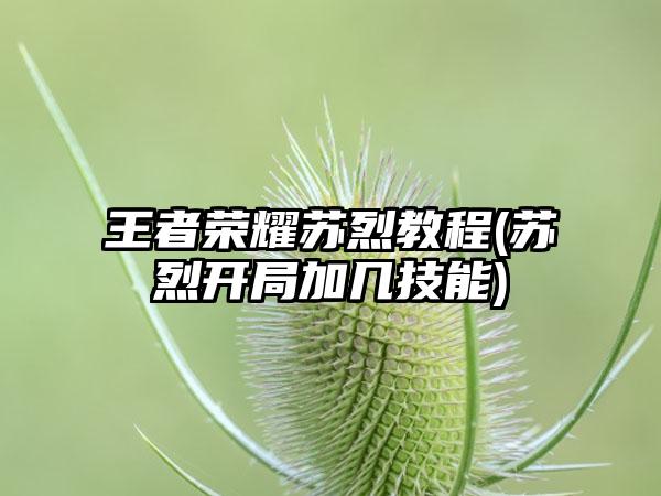 王者荣耀苏烈教程(苏烈开局加几技能)