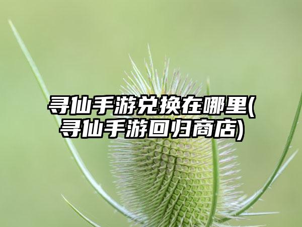 寻仙手游兑换在哪里(寻仙手游回归商店)