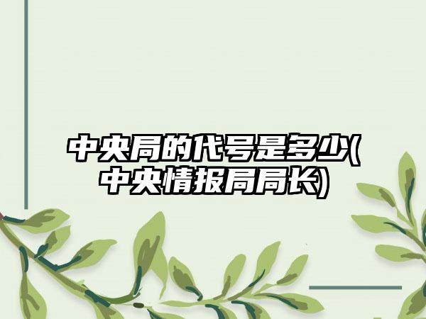 中央局的代号是多少(中央情报局局长)