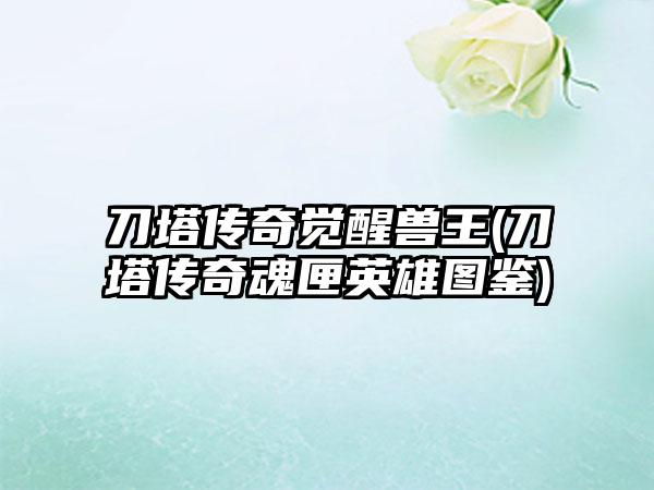 刀塔传奇觉醒兽王(刀塔传奇魂匣英雄图鉴)