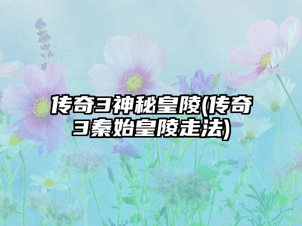 传奇3神秘皇陵(传奇3秦始皇陵走法)