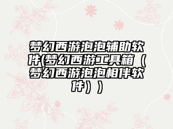 梦幻西游泡泡辅助软件(梦幻西游工具箱（梦幻西游泡泡相伴软件）)