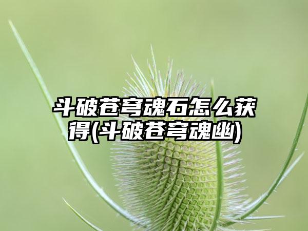 斗破苍穹魂石怎么获得(斗破苍穹魂幽)