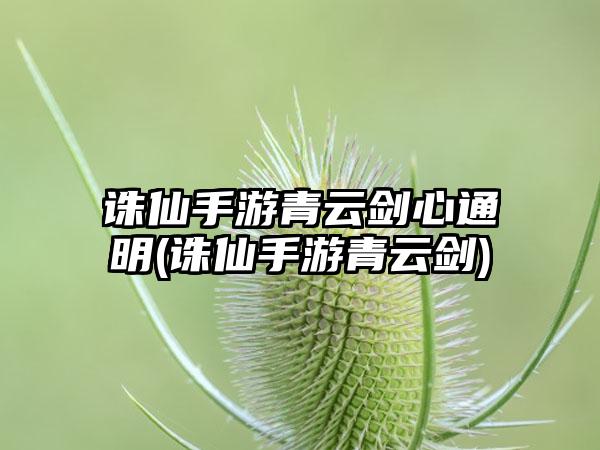 诛仙手游青云剑心通明(诛仙手游青云剑)