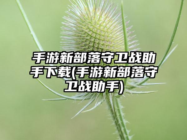 手游新部落守卫战助手下载(手游新部落守卫战助手)