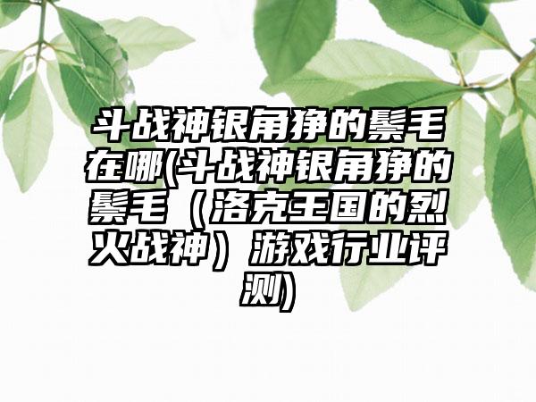 斗战神银角狰的鬃毛在哪(斗战神银角狰的鬃毛（洛克王国的烈火战神）游戏行业评测)
