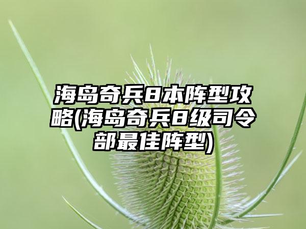 海岛奇兵8本阵型攻略(海岛奇兵8级司令部最佳阵型)