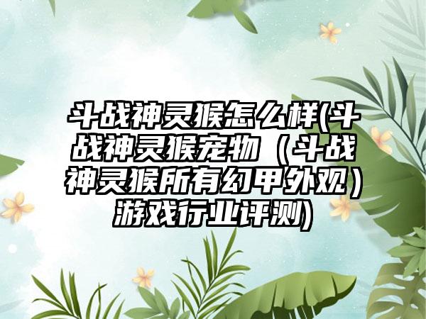 斗战神灵猴怎么样(斗战神灵猴宠物（斗战神灵猴所有幻甲外观）游戏行业评测)